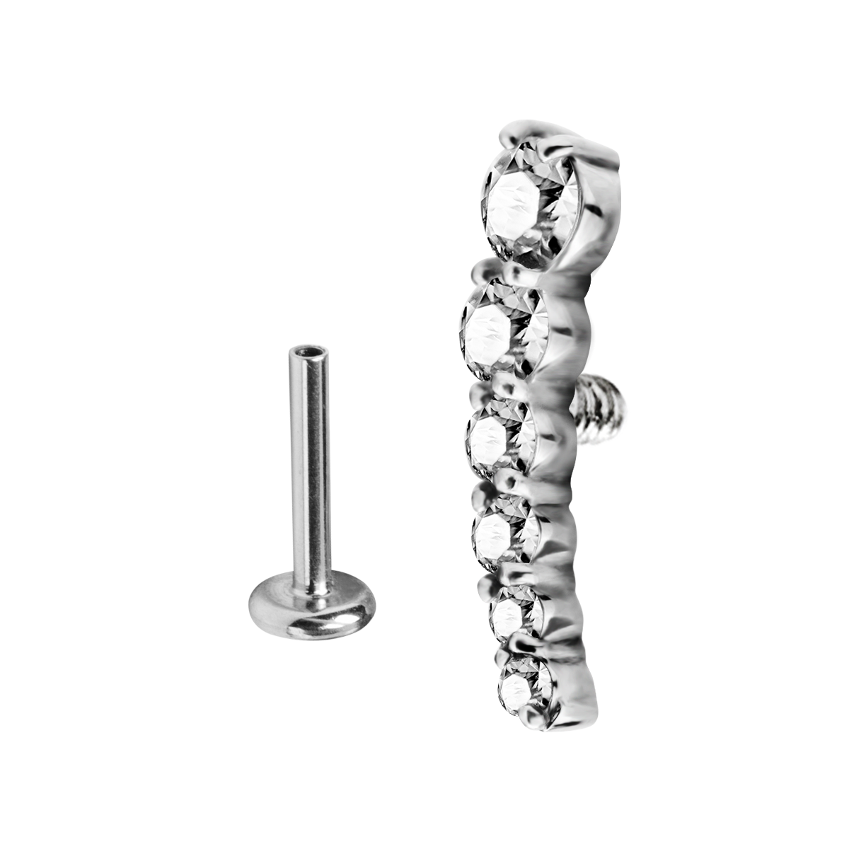 6 Jewel Helix/Conch Piercing