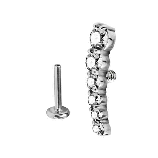 6 Jewel Helix/Conch Piercing