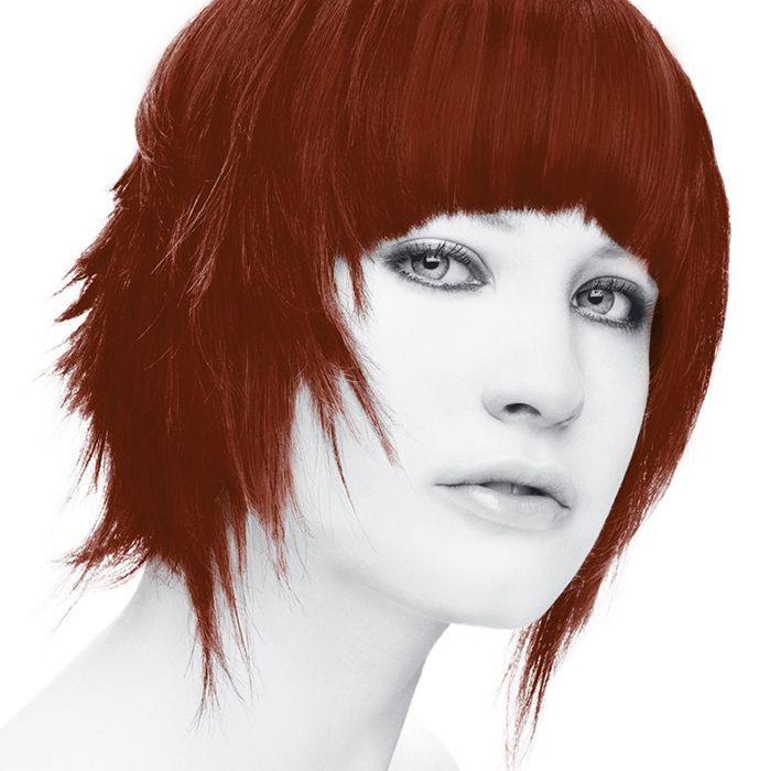 Stargazer Hair Colour