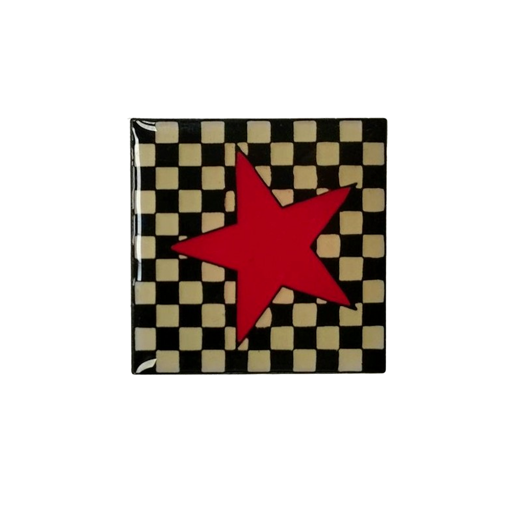 Checkered Star Pin