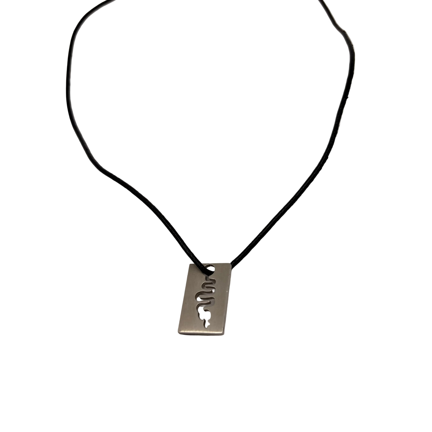 Snake Tag Necklace
