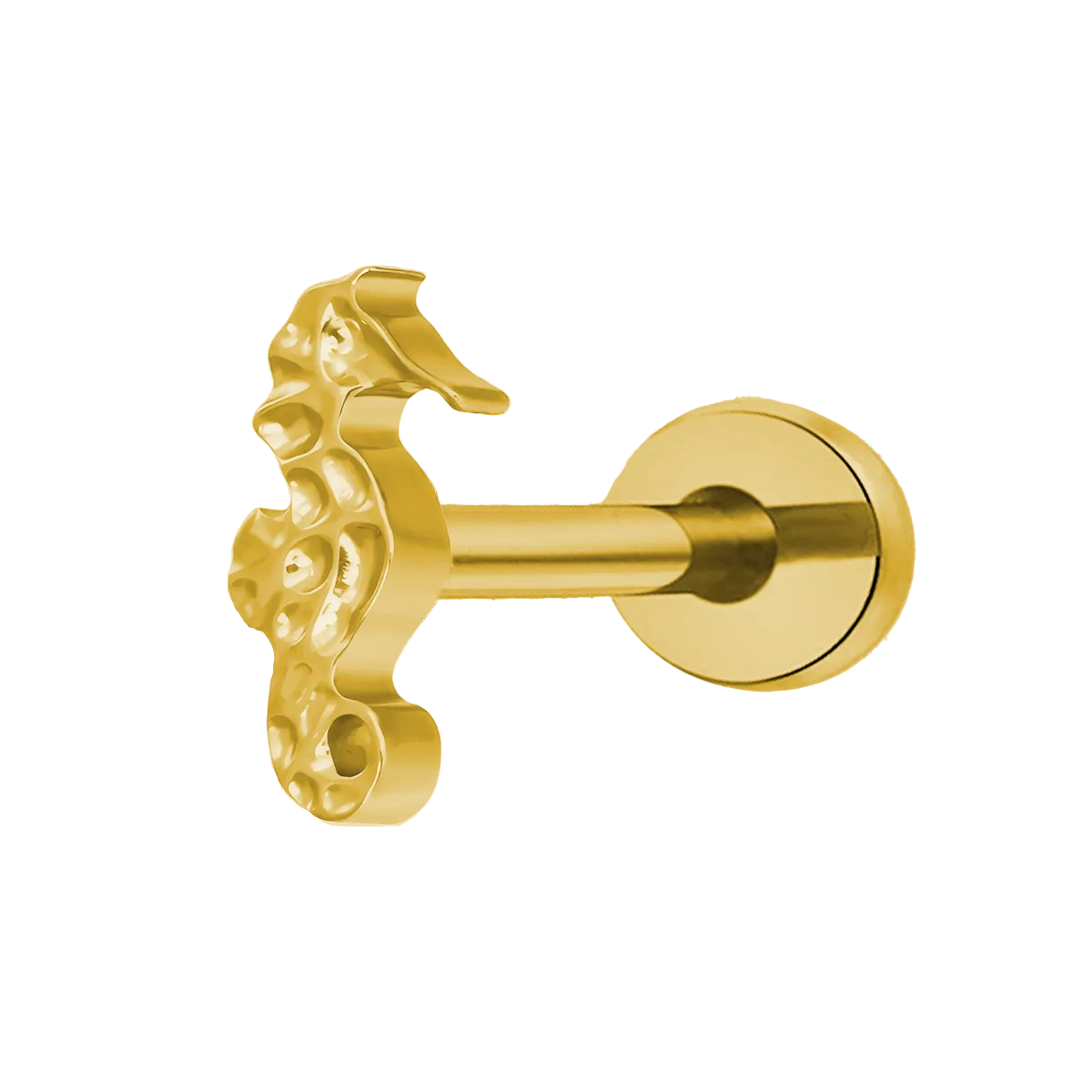 Helix Gold Seahorse Titanium