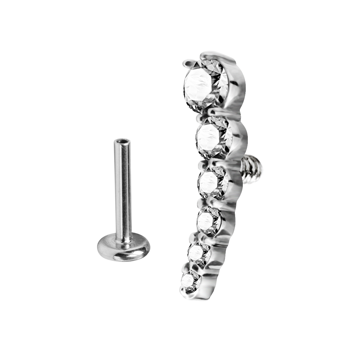 6 Jewel Helix/Conch Piercing