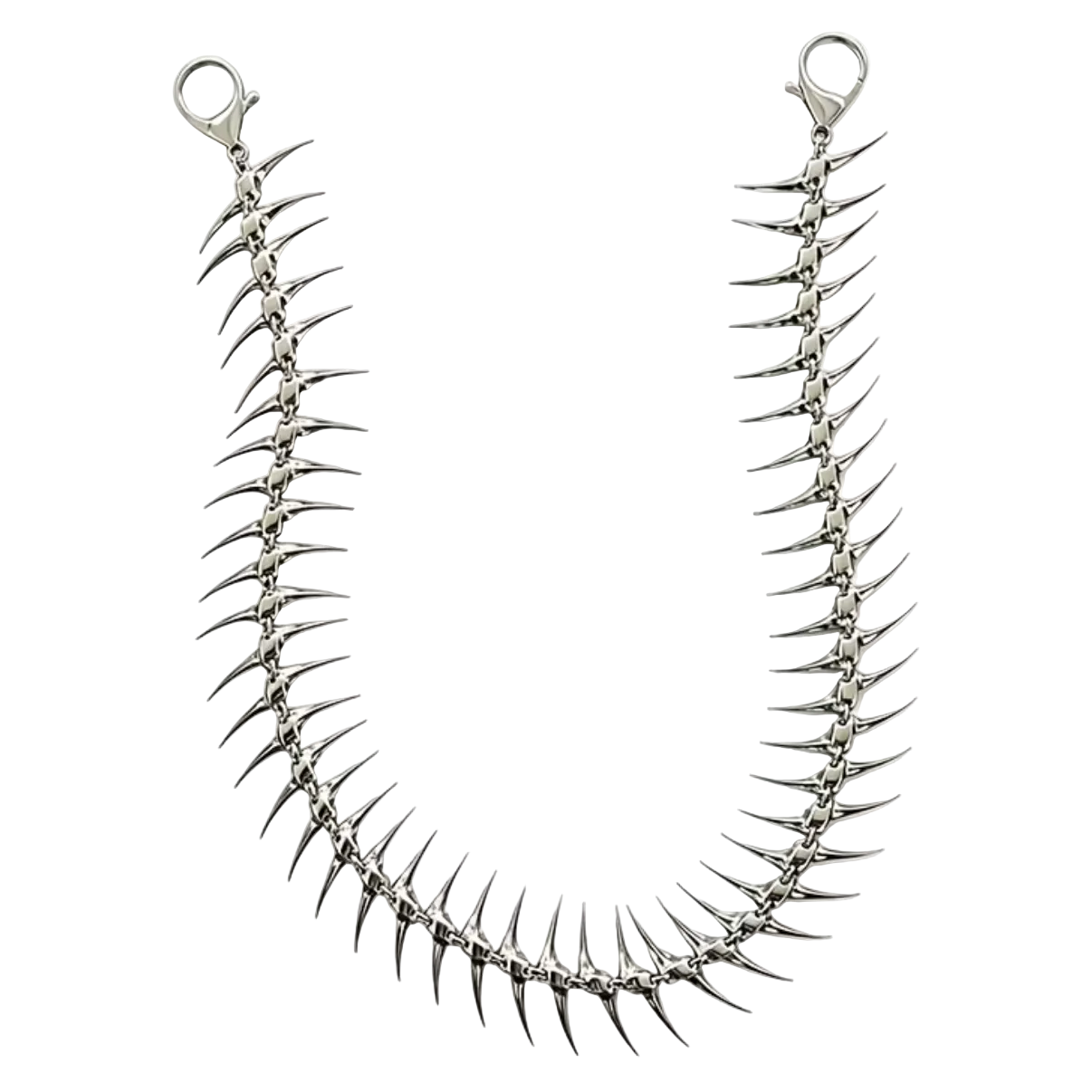 Spine Chain