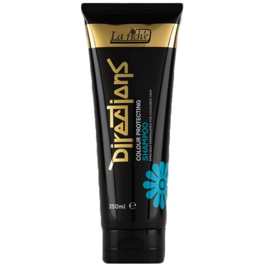 Directions Colour Protect  Shampoo