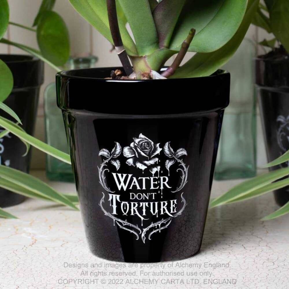 Alchemy England Water Don't Torture Plant Pot