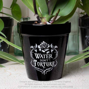 Alchemy England Water Don't Torture Plant Pot