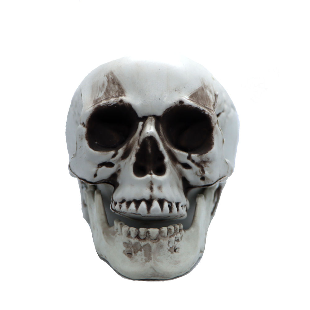 Plastic Skull Toy