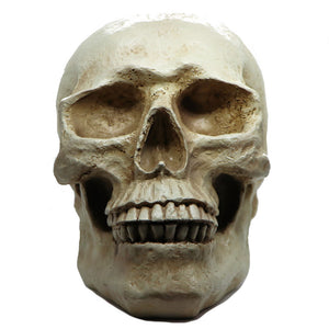 Skull Decor Moneybox