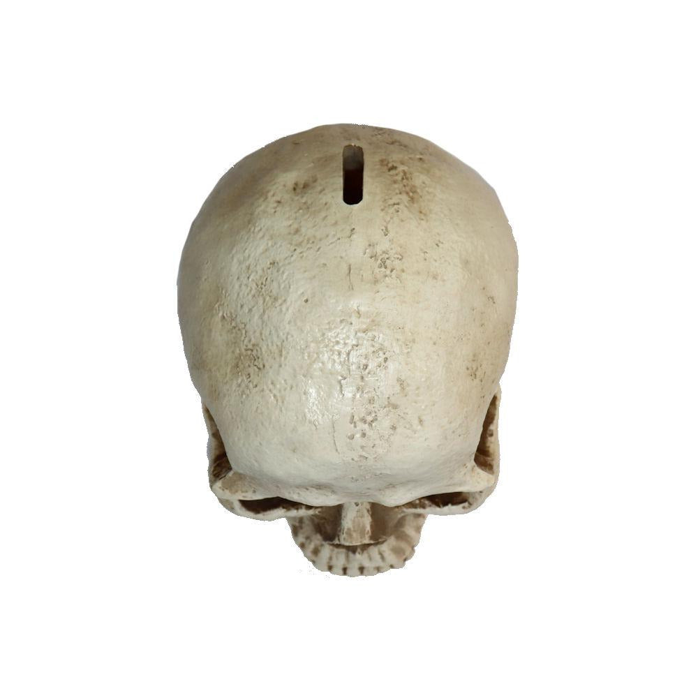 Colar Mini Cadeado Skull Banho de Ouro – SKULL