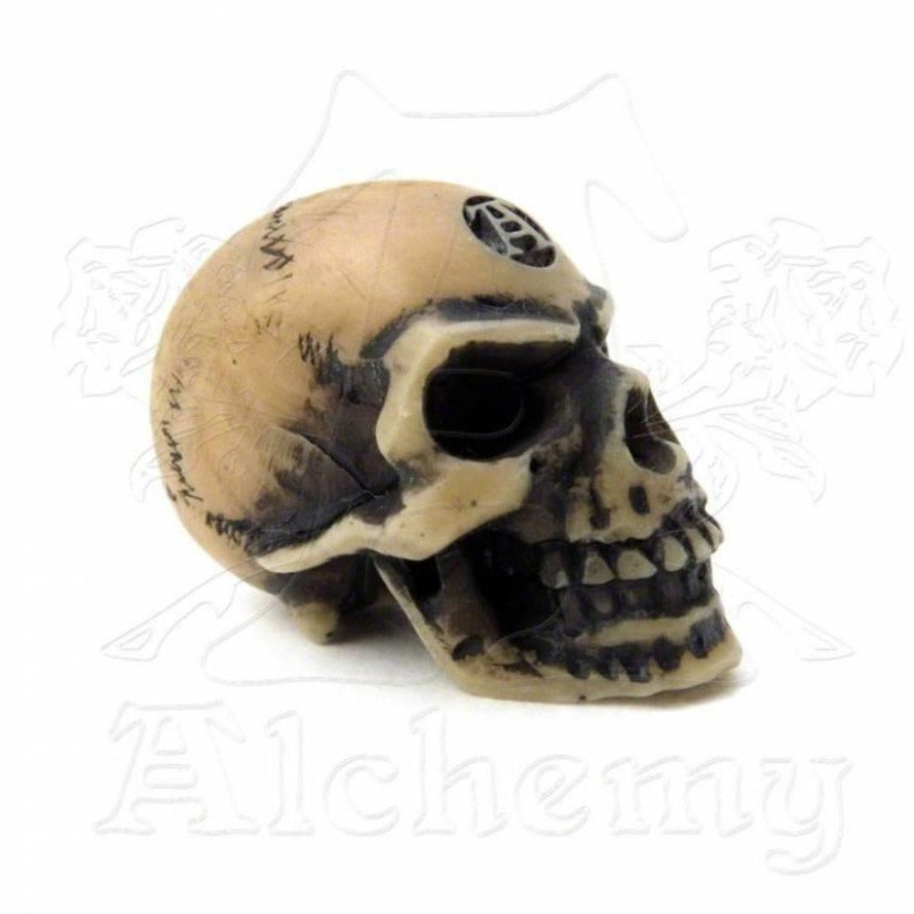 Alchemy England Lapillus Worry Skull